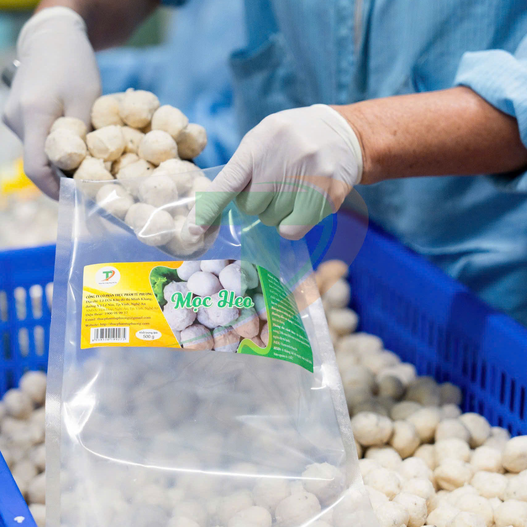 Mọc heo Tứ Phương - Nguồn hàng ổn định cho các quán bún - phở