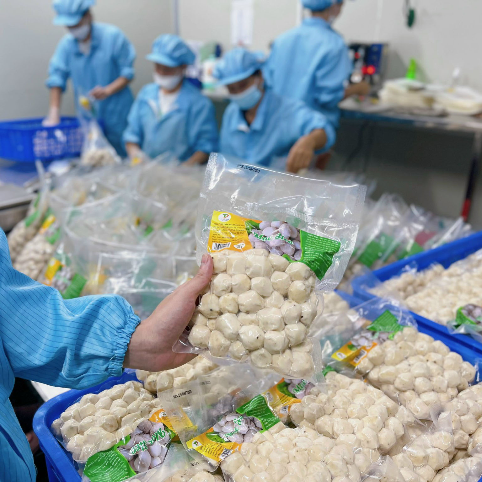 KHÓA HỌC LÀM MỌC HEO - MỌC BÒ TỨ PHƯƠNG THÁNG 11 CÓ GÌ ĐẶC BIỆT.