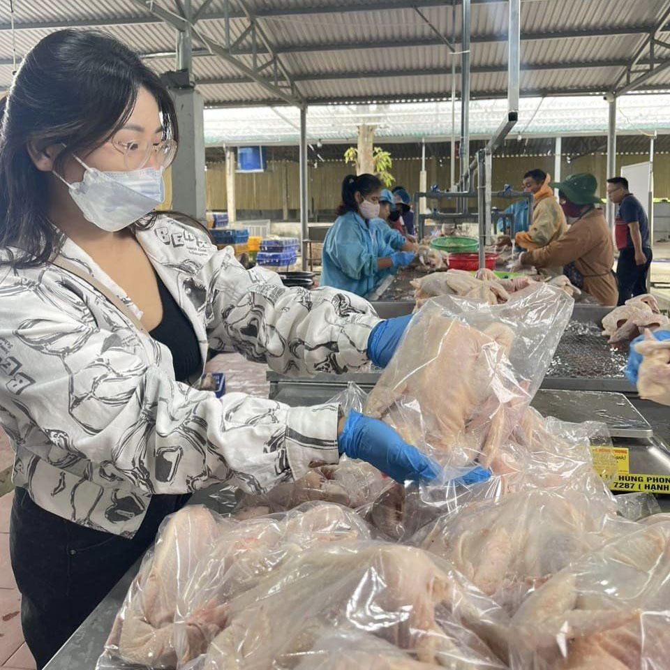 GIÁ GÀ TƯƠI HÔM NAY 21/11/2024