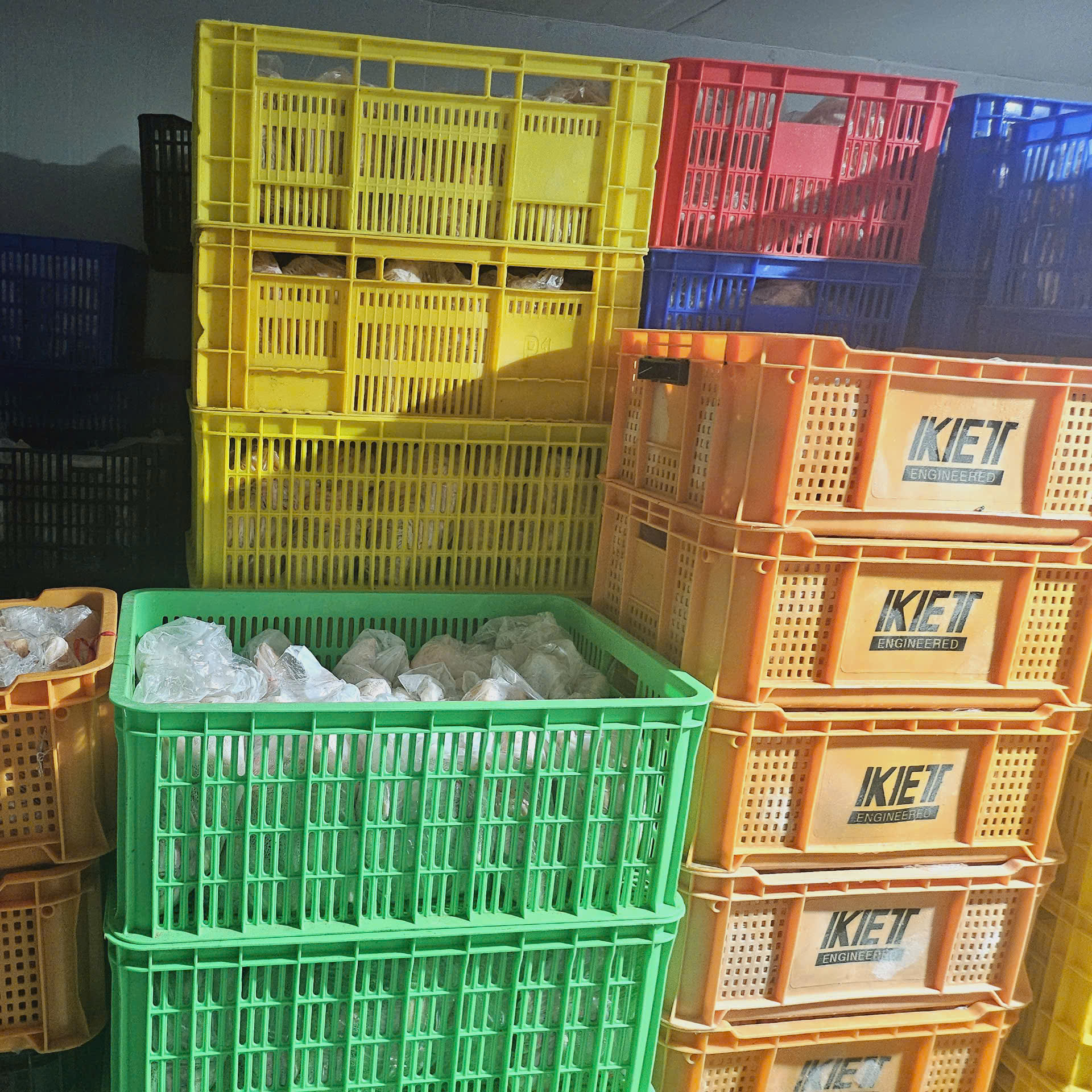 Đơn vị phân phối gà tươi giá sỉ tại Hà Tĩnh