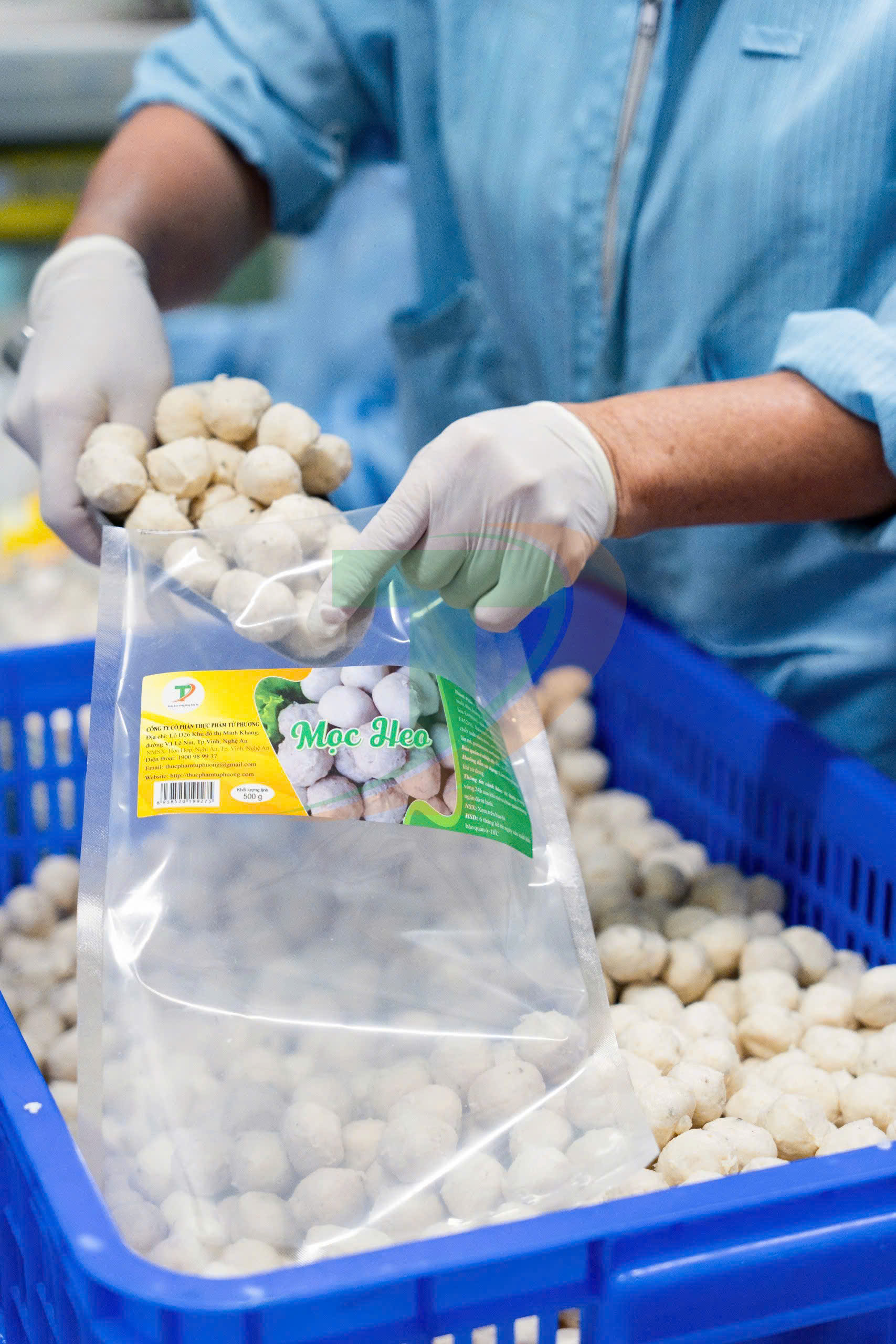 Mọc heo Tứ Phương – Nguồn hàng ổn định, chất lượng cho các quán bún – phở