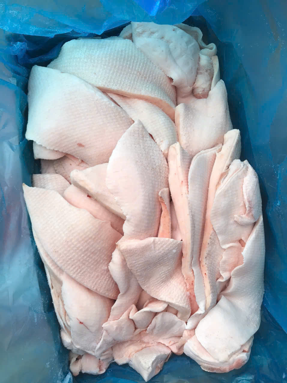 NGUỒN SỈ MỠ HEO UY TÍN, ỔN ĐỊNH, CHẤT LƯỢNG ĐƠN VỊ SẢN XUẤT TẠI NGHỆ AN