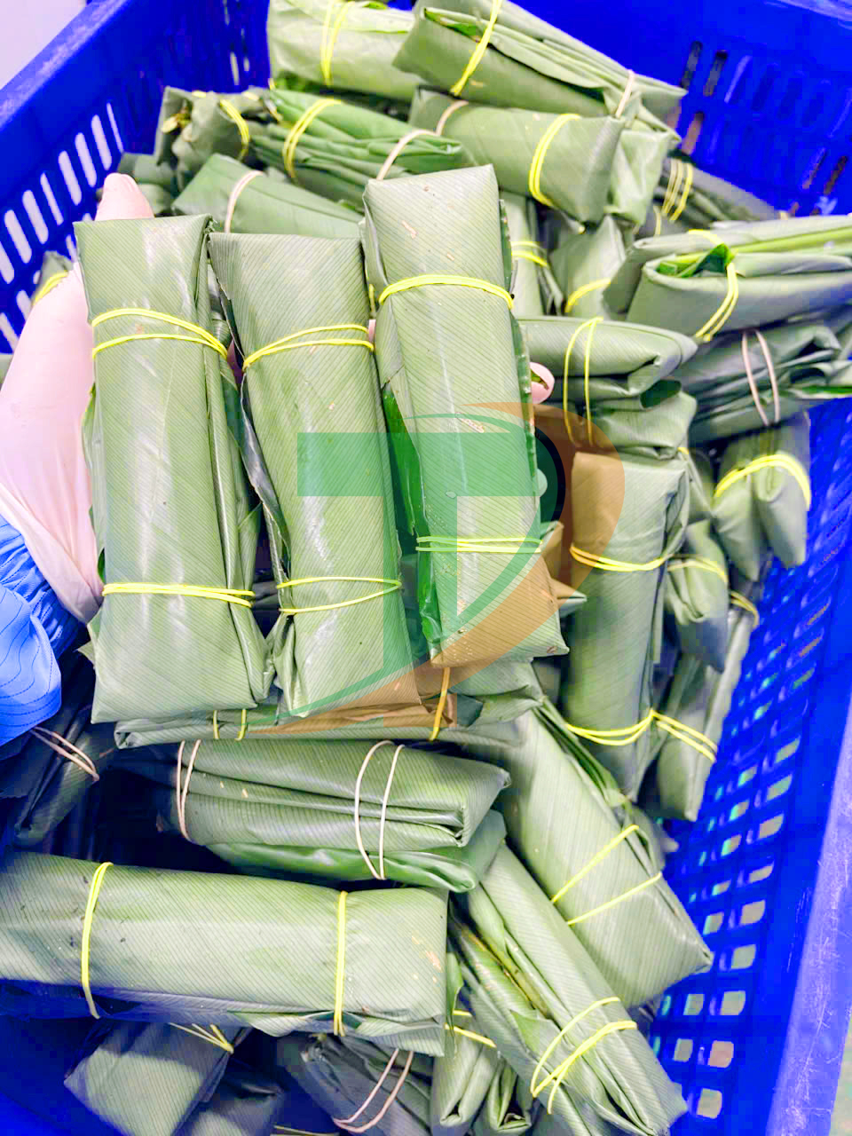 Giò nóng Tứ Phương - Nhà máy cung cấp giò nóng hàng đầu tại Nghệ An.