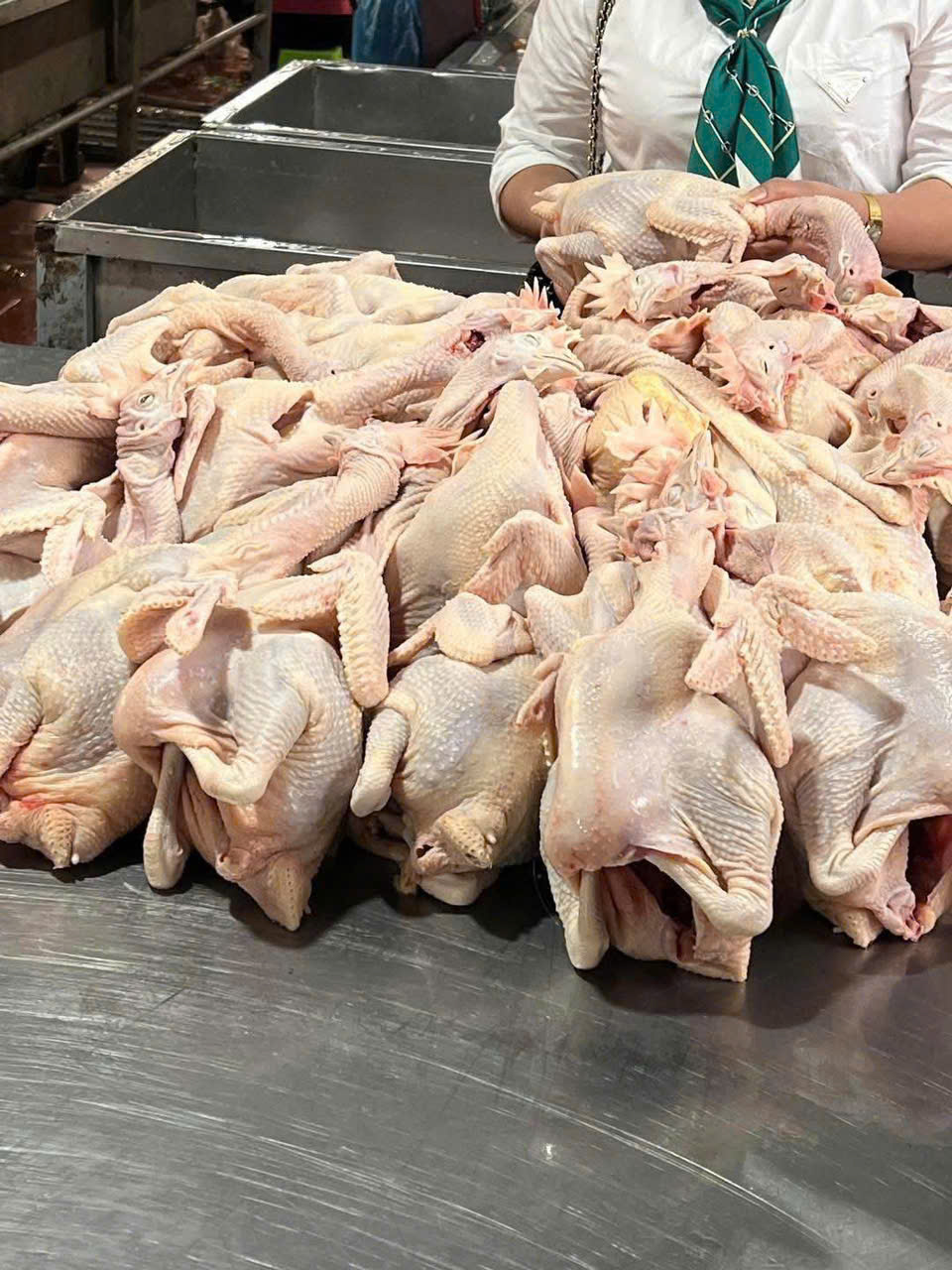 MUA GÀ TƯƠI GIÁ GỐC TẠI ĐÂU ĐƠN? ĐƠN VỊ NÀO CUNG CẤP GÀ TƯƠI TẠI CÁC TỈNH BẮC MIỀN TRUNG.