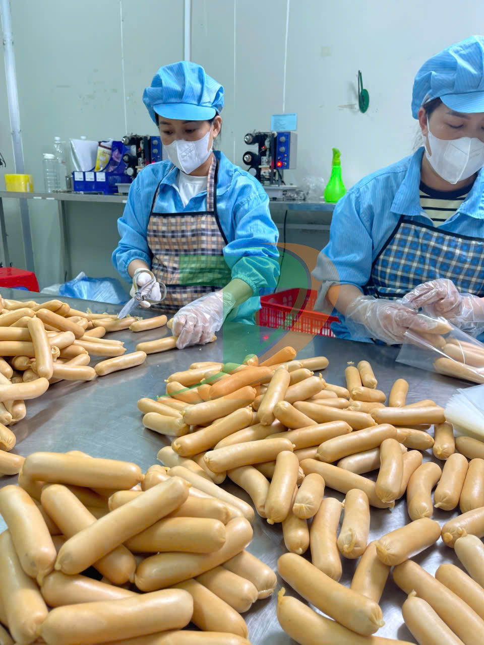 TUYỂN SỈ XÚC XÍCH GÀ TỨ PHƯƠNG