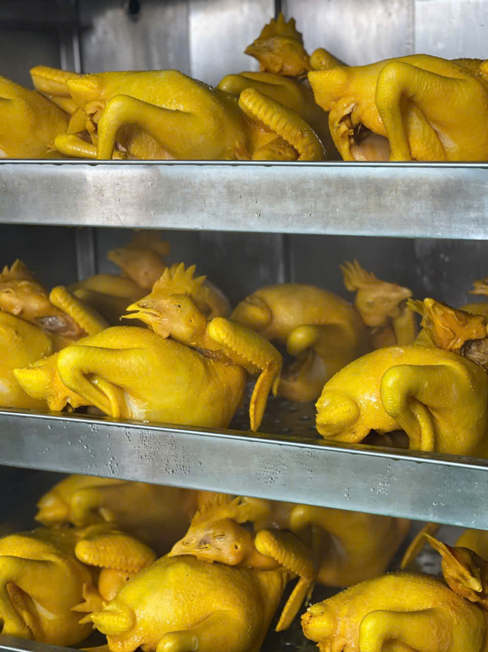 ĐẶC SẢN NGHỆ AN VƯỢT NÚI RA THỦ ĐÔ: Gà Ủ Muối TP Chính Gốc Nghệ An – Ship Hỏa Tốc Đến Hà Nội!