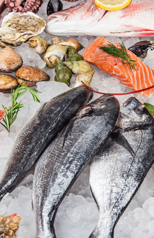 Danmua.com - Mua sắm giá rẻ