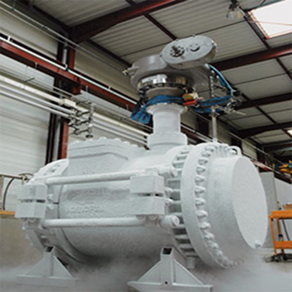 Van một chiều điều khiển chịu áp cao và chịu nhiệt độ âm