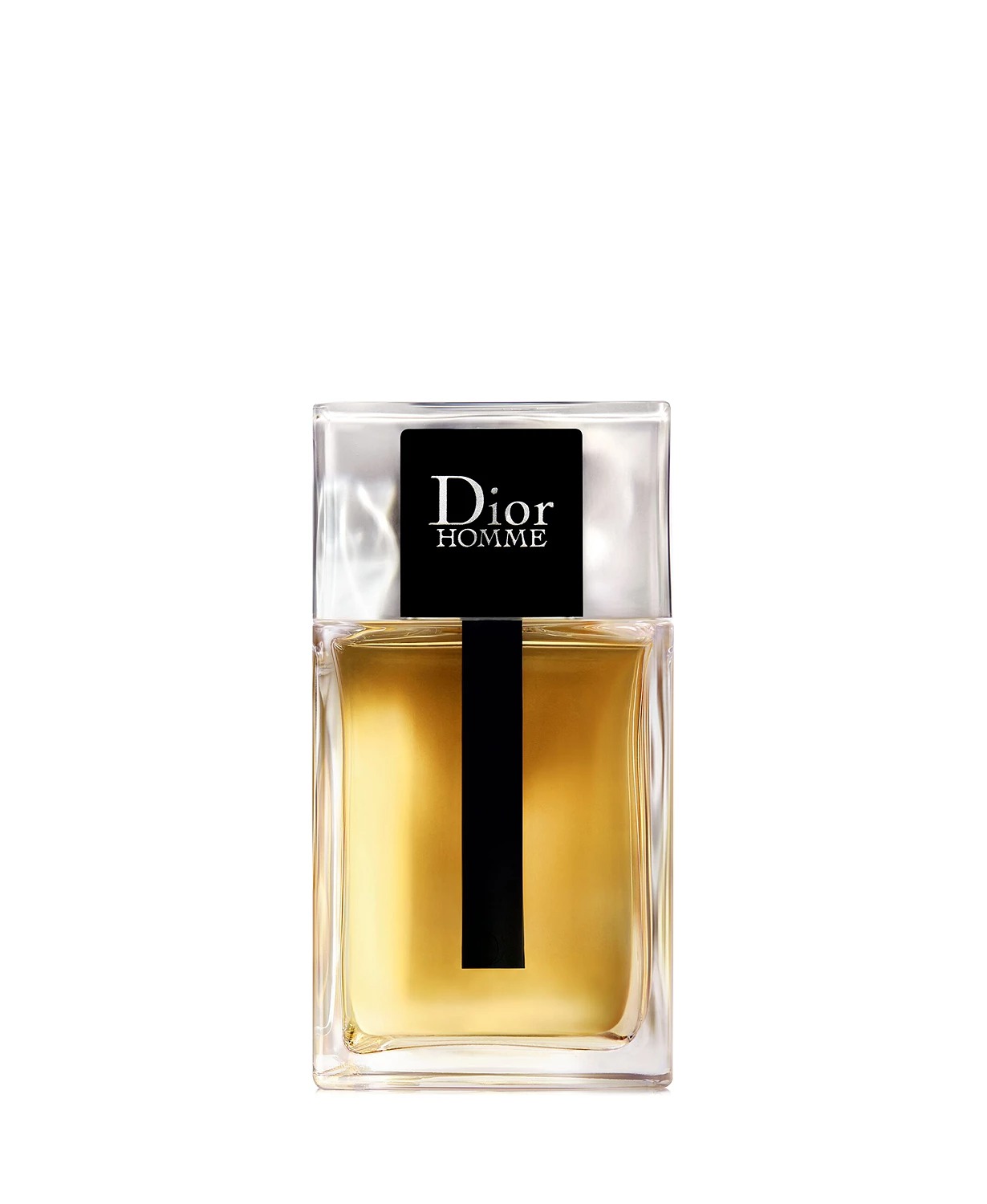 Mua Nước Hoa Nam Dior Homme Parfum 100ml  Dior  Mua tại Vua Hàng Hiệu  h075215