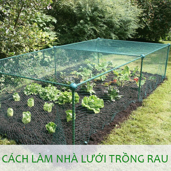 nhà lưới đơn giản trồng rau