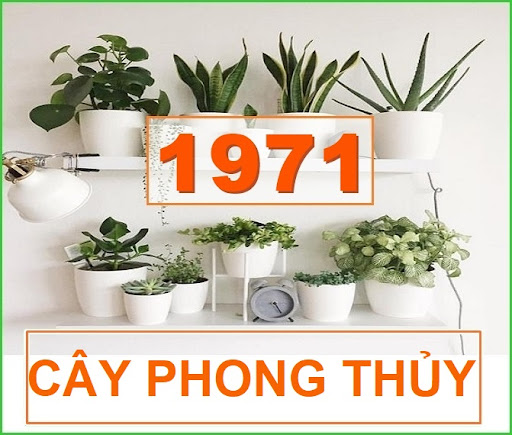 7. Vật phẩm phong thủy bổ trợ cho người tuổi Tân Hợi 1971