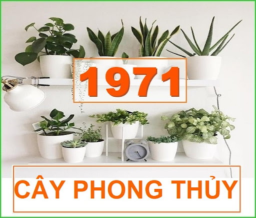 tuổi 1971 - Tân Hợi