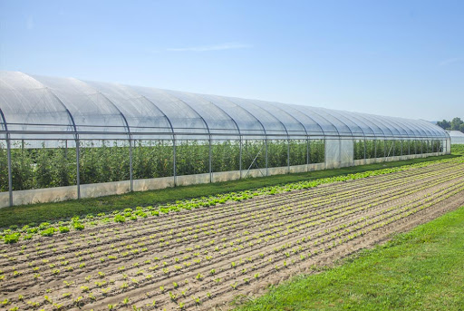 Lựa chọn mô hình nhà lưới phù hợp