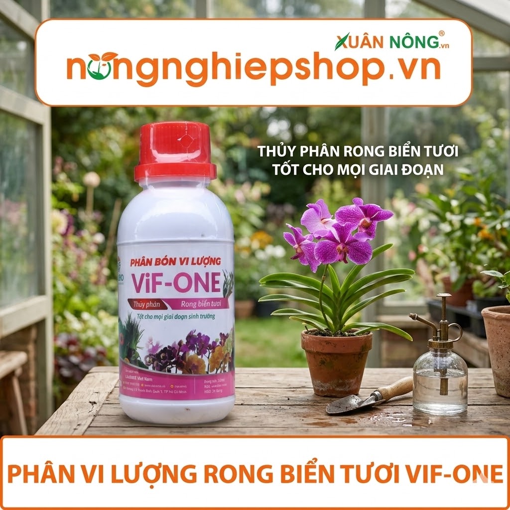 Phân Vi Lượng Rong Biển Tươi
