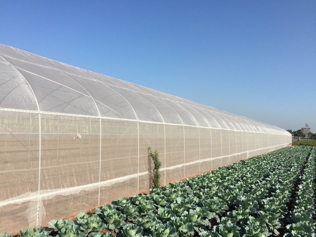 Ưu điểm của nhà lưới công nghệ cao