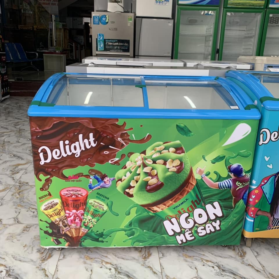 Tủ đông Sanaky xanh