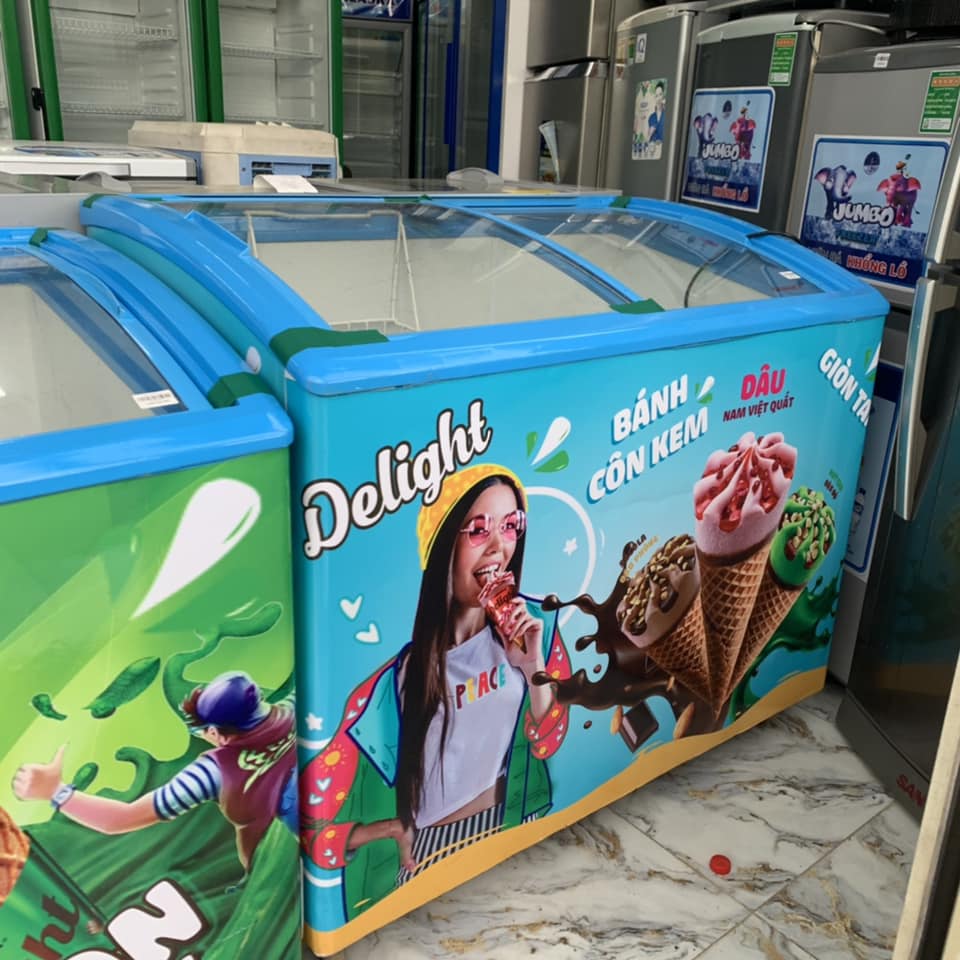 Tủ đông Sanaky xanh