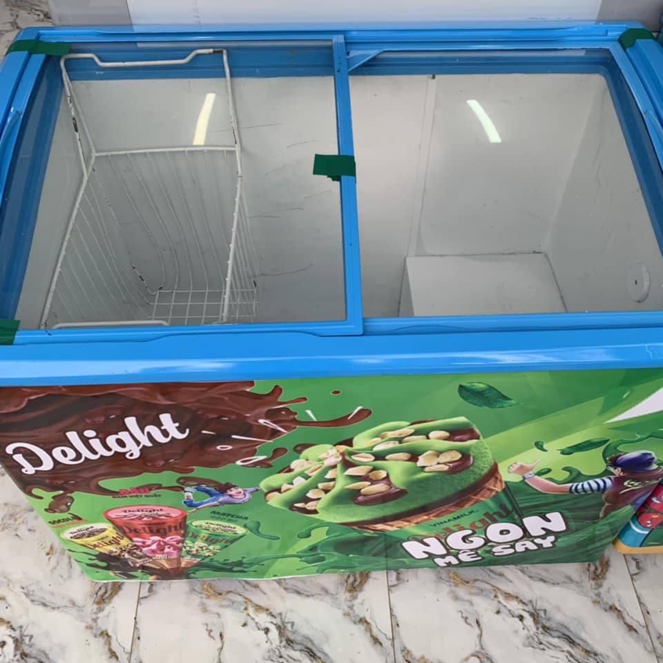 Tủ đông Sanaky xanh