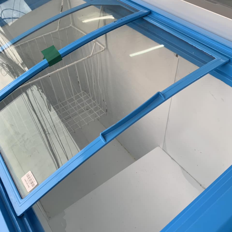 Tủ đông Sanaky xanh