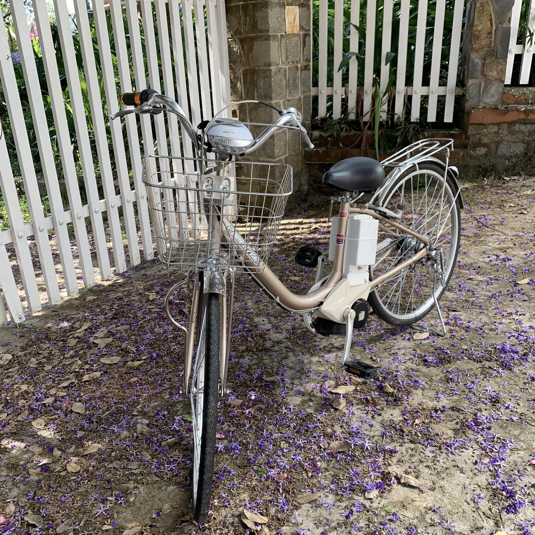 Xe đạp điện Speedzilla