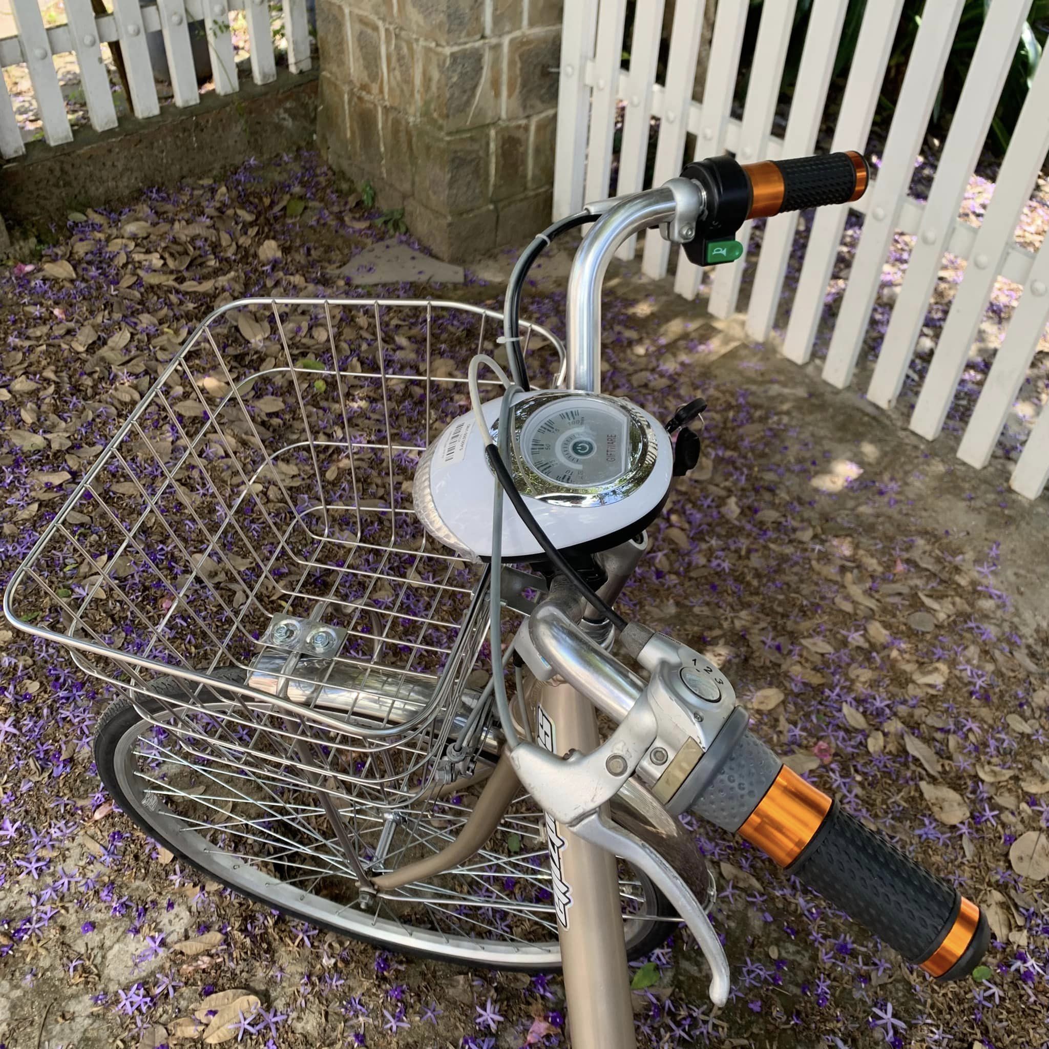 Xe đạp điện Speedzilla