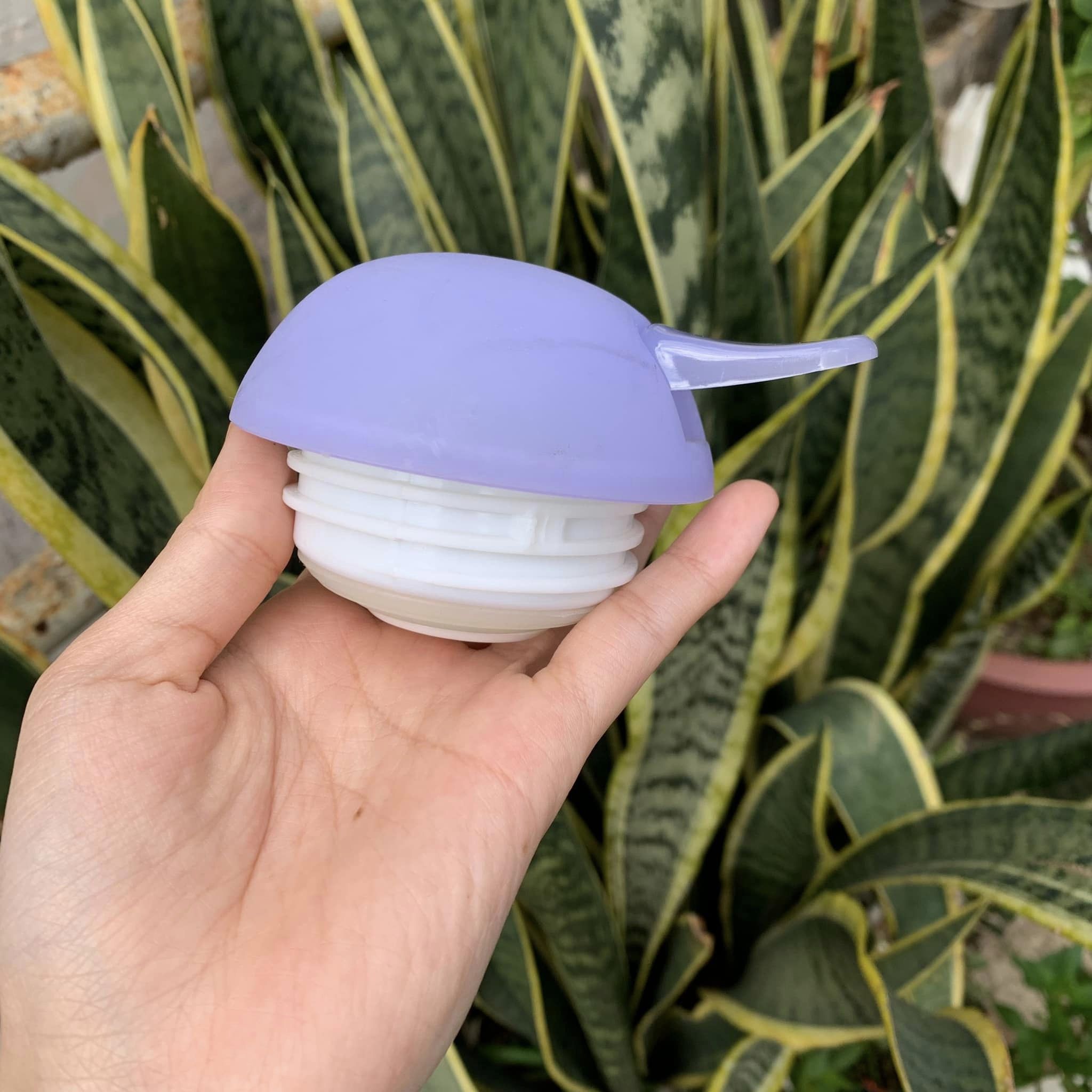 Bình thủy Mickey 500ml