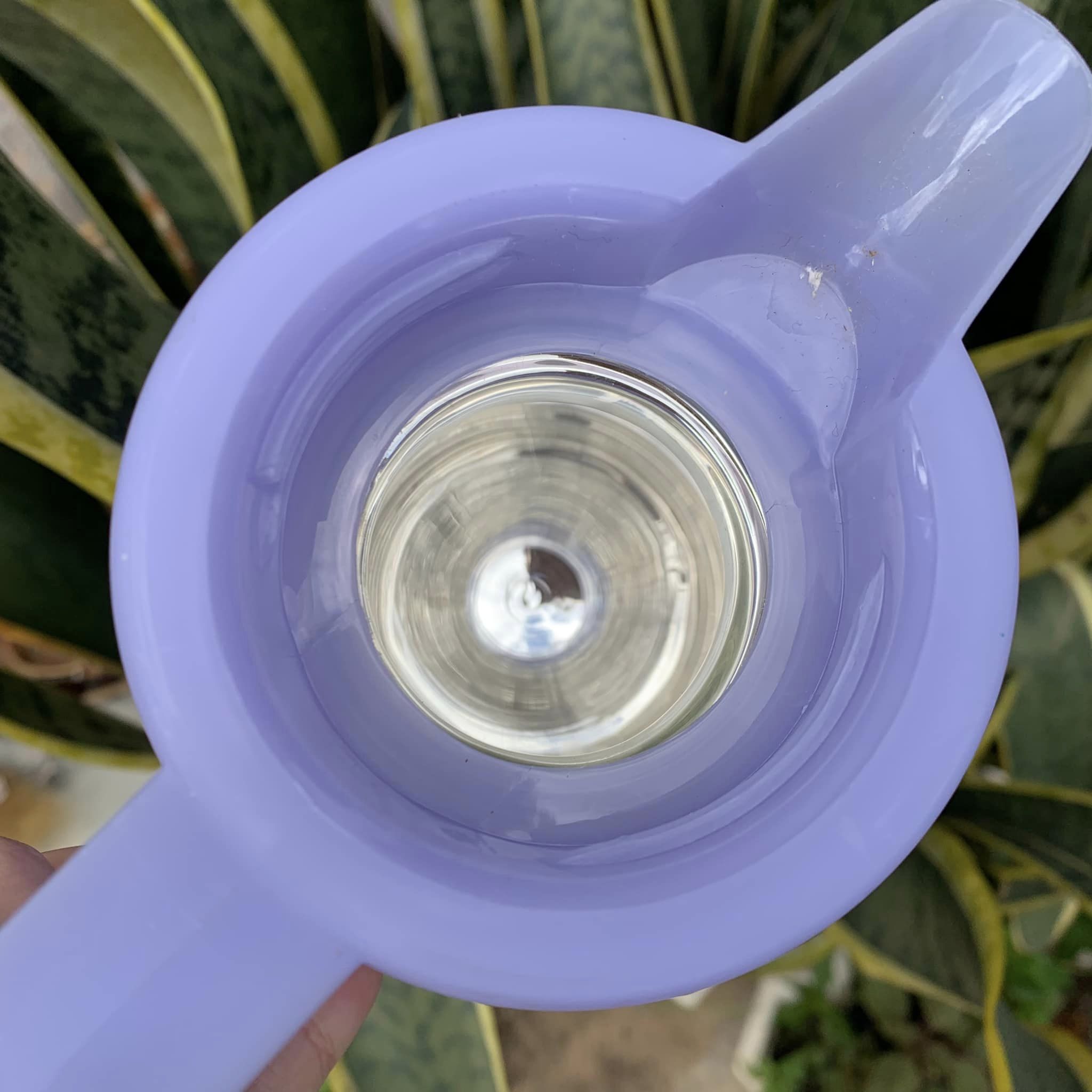 Bình thủy Mickey 500ml