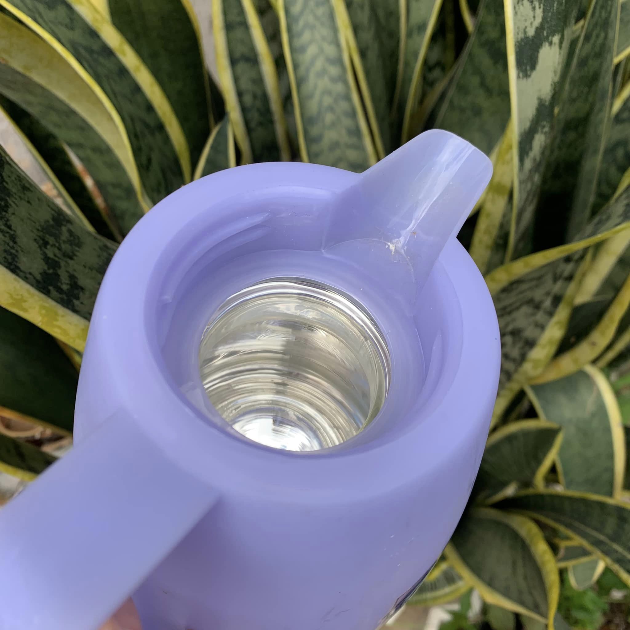 Bình thủy Mickey 500ml