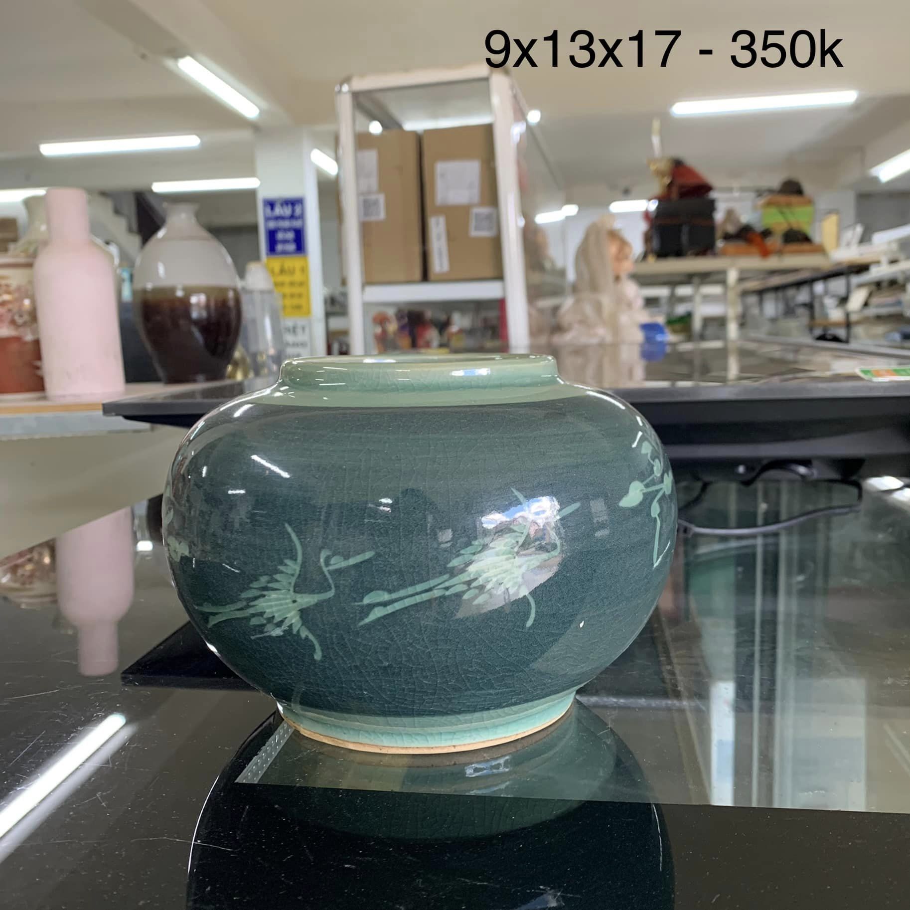 BÌNH SỨ MEN RÊU