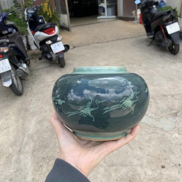 BÌNH SỨ MEN RÊU