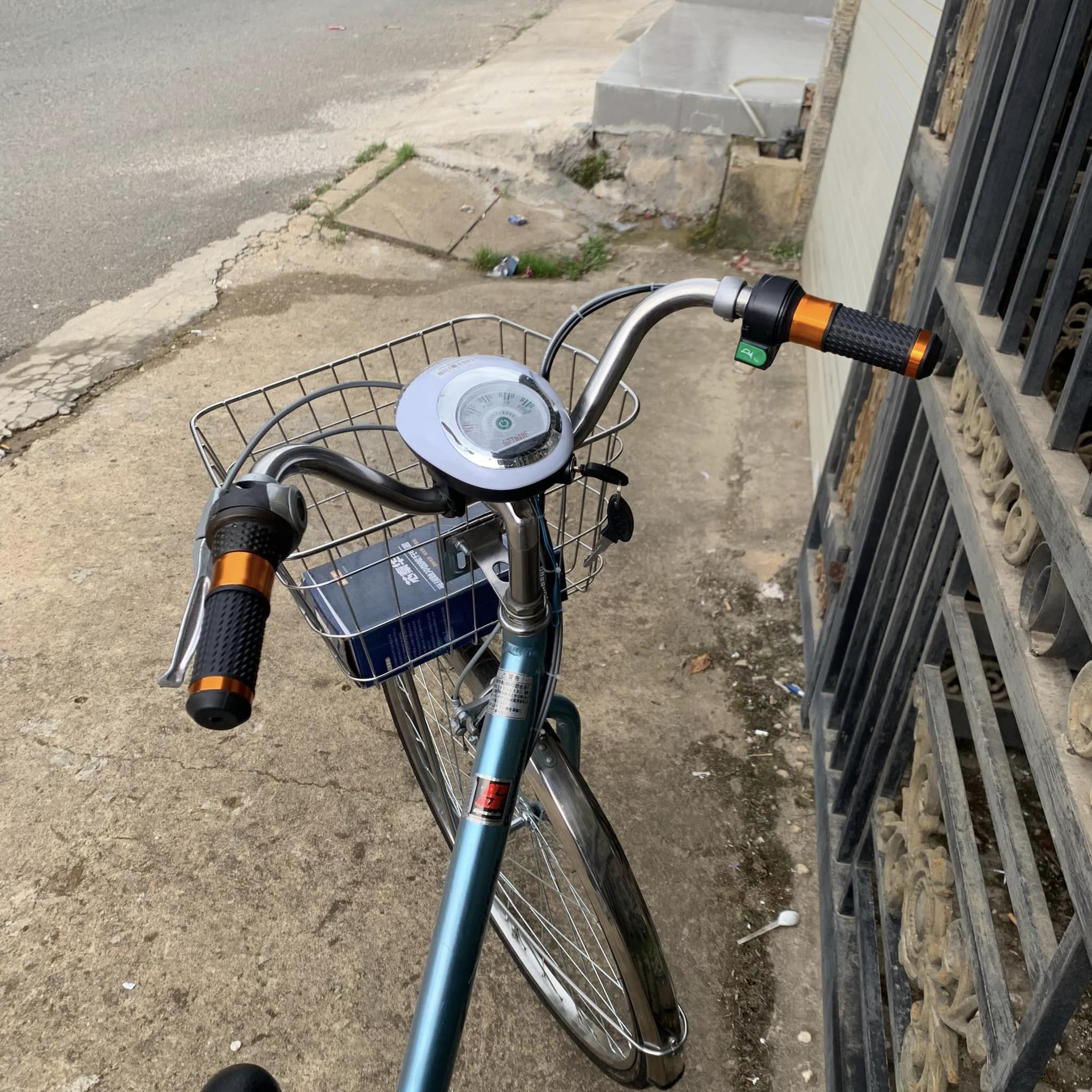 Xe đạp điện Pana