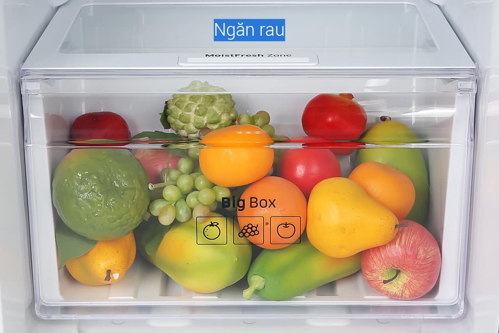 Tủ lạnh Samsung 236L RT22M4032BY/SV