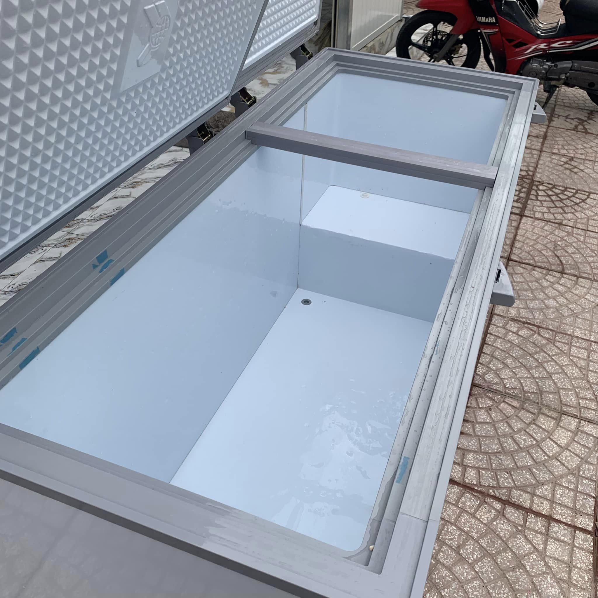 Tủ đông Sanaky 530L