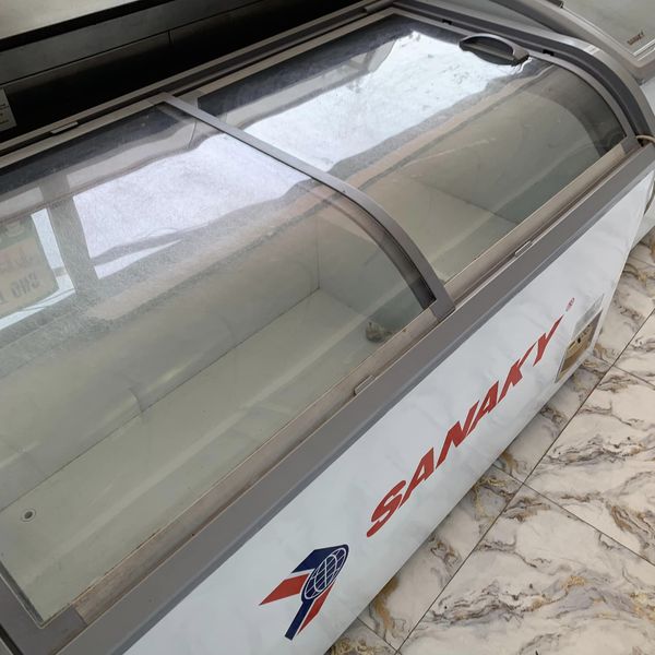 Tủ đông Sanaky 500l