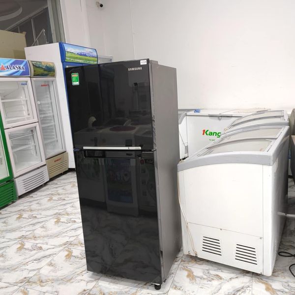 Tủ lạnh Samsung 208l RT20HAR8DBU