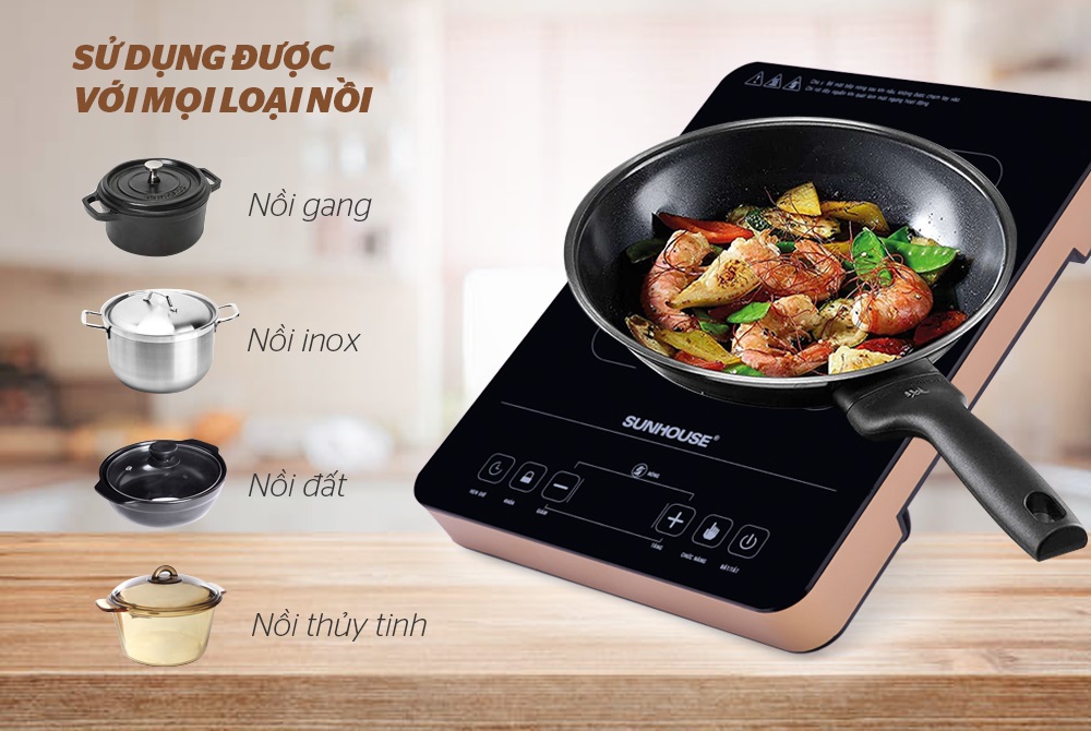 Bếp hồng ngoại cảm ứng Sunhouse SHD6015