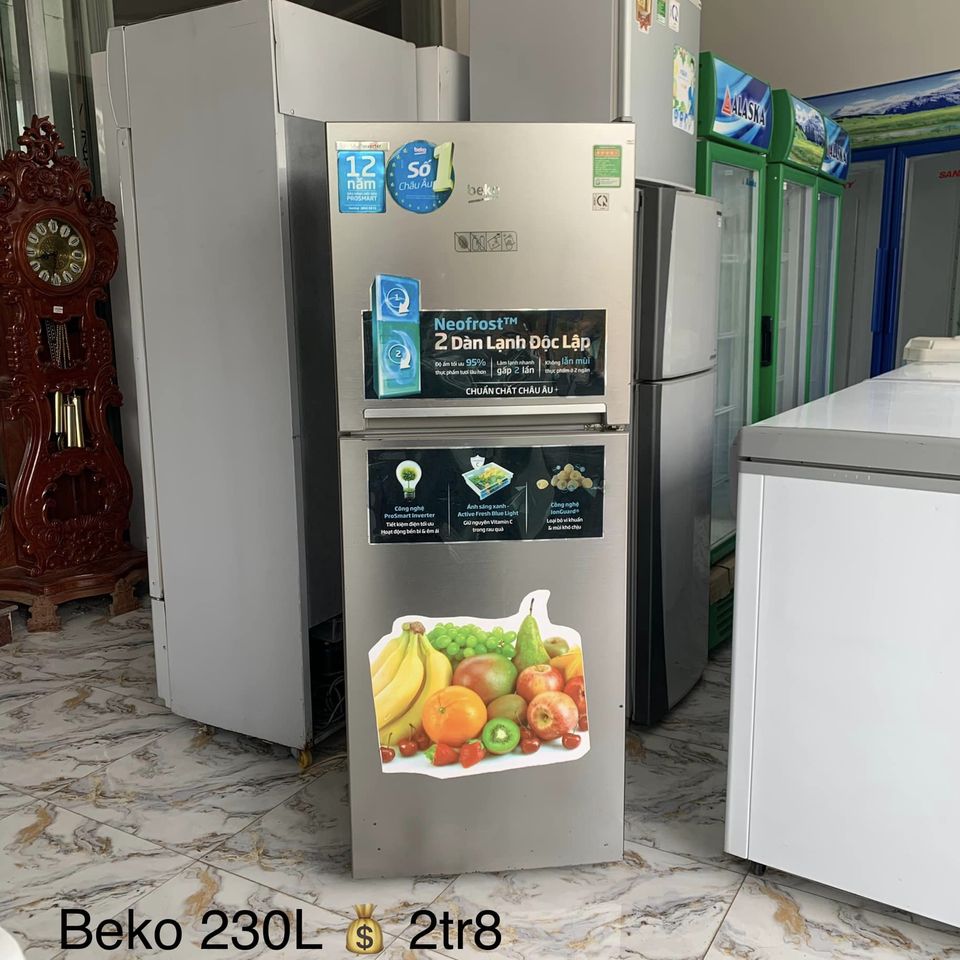 Tủ lạnh Beko Inverter 230L