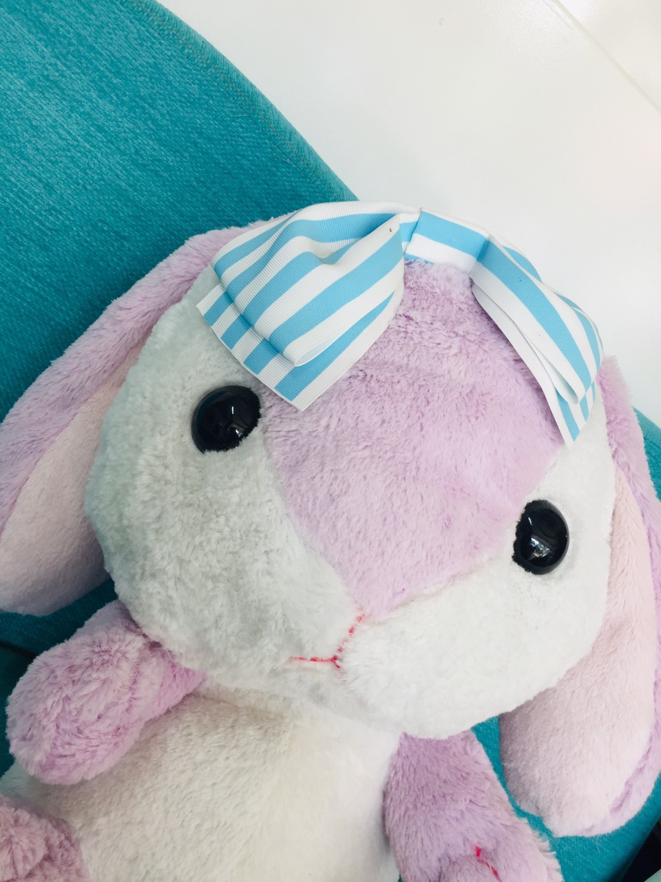 Gấu bông thỏ loppy