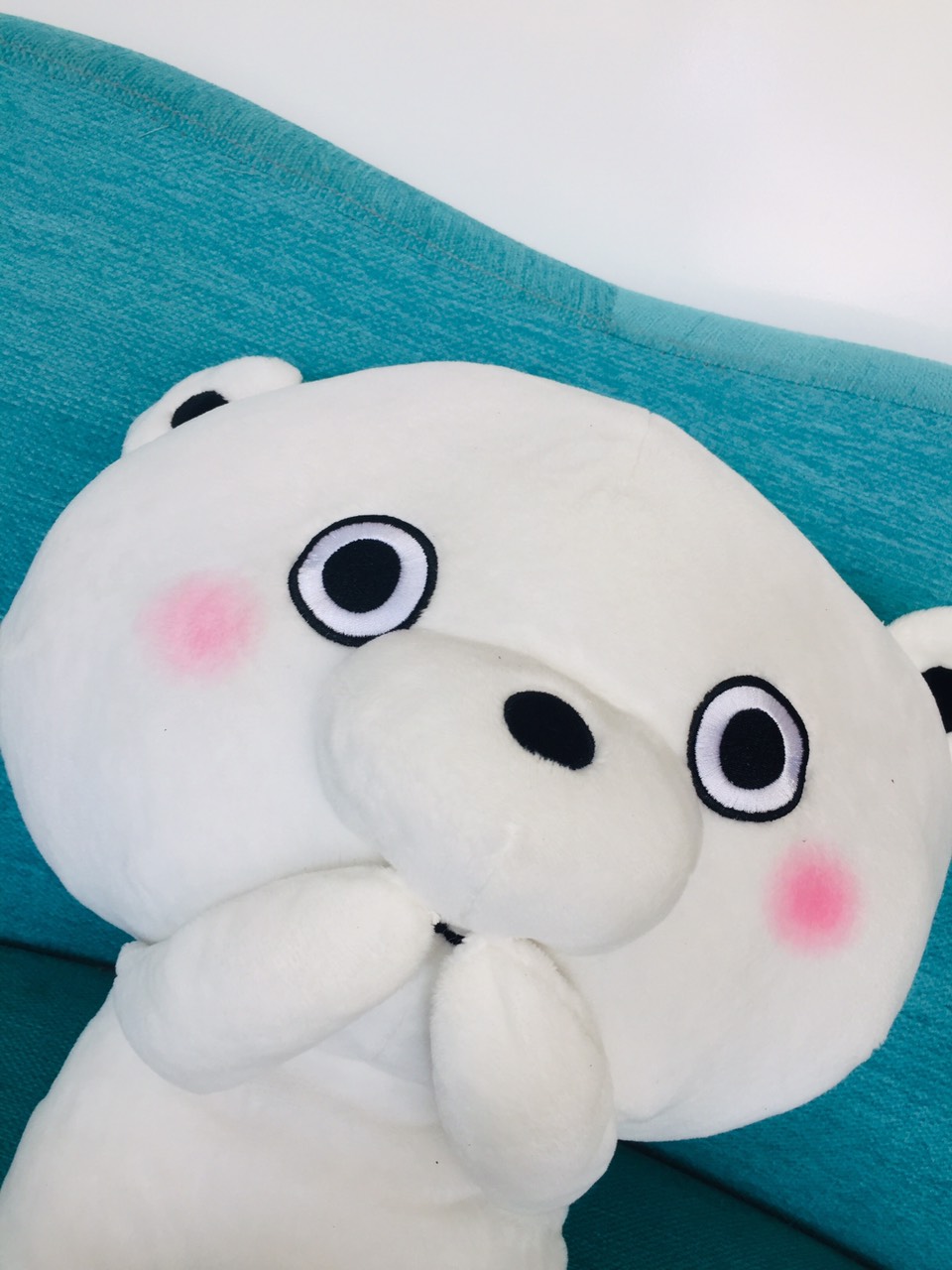 Một bé gấu Igurumi