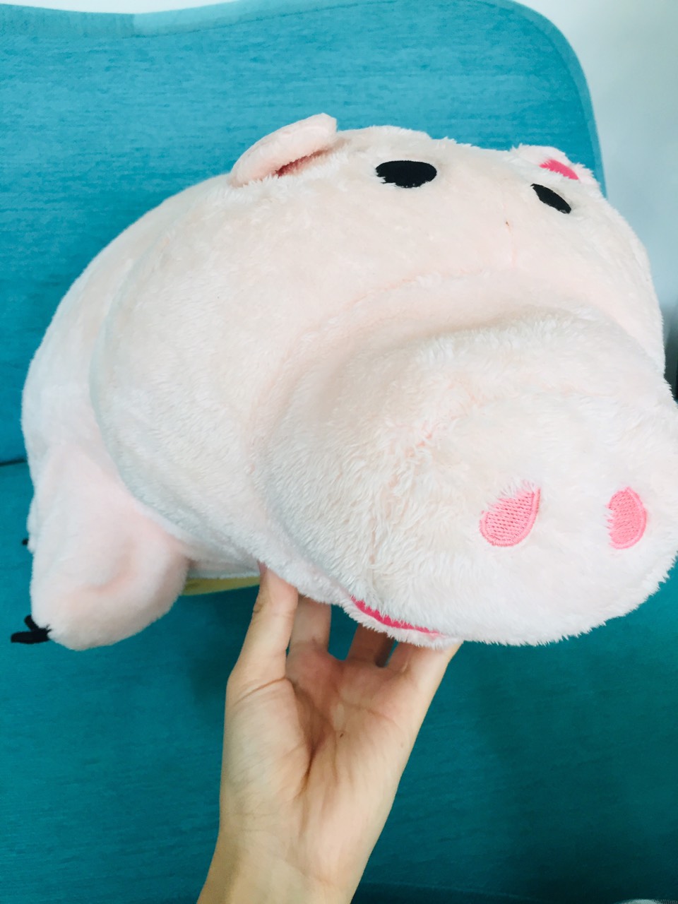 Một chiếc gấu bông màu hường