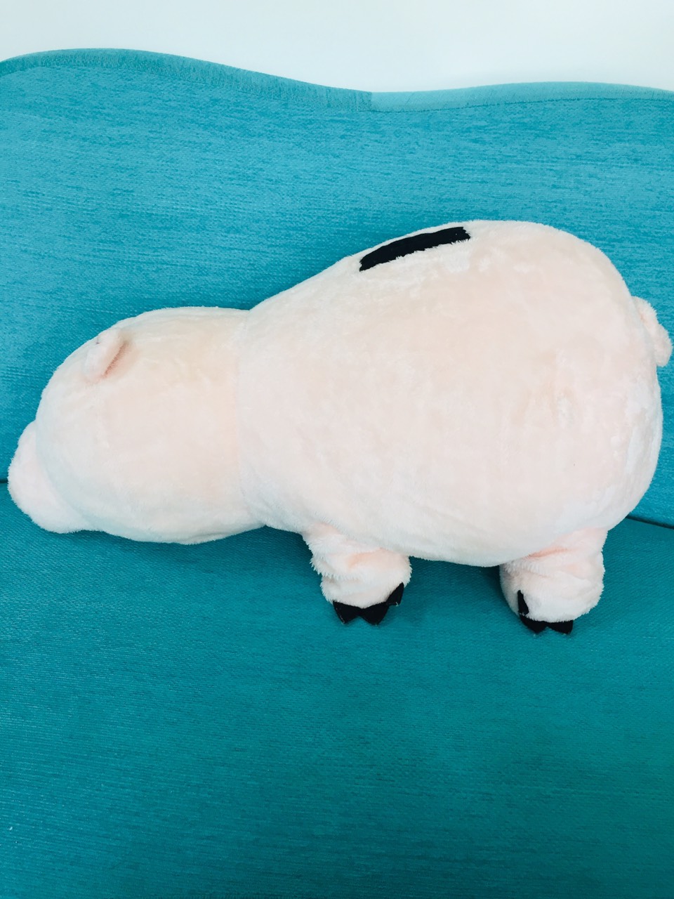 Một chiếc gấu bông màu hường