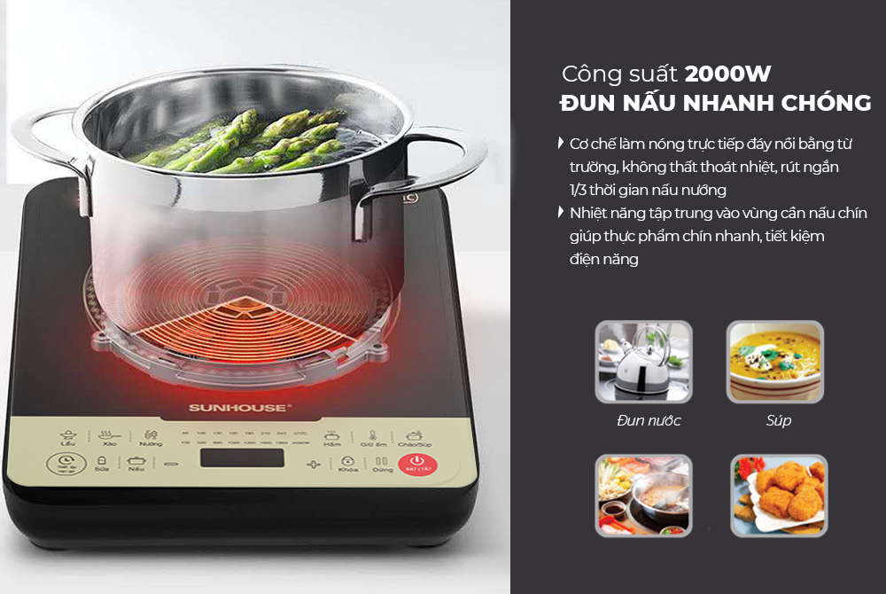Bếp từ đơn Sunhouse SHD6869