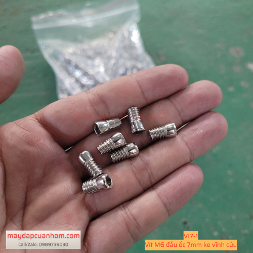 vit-m6-ke-vinh-cuu-dau-oc-7mm-vit7-1