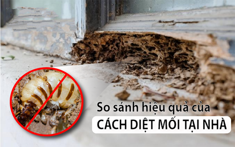 SO SÁNH HIỆU QUẢ CÁC CÁCH DIỆT MỐI TẠI NHÀ