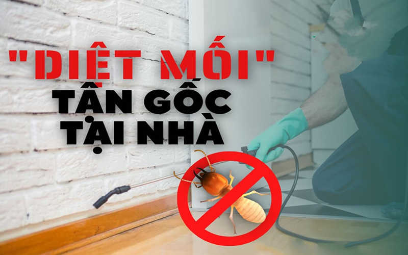 DỊCH VỤ DIỆT MỐI TẬN GỐC