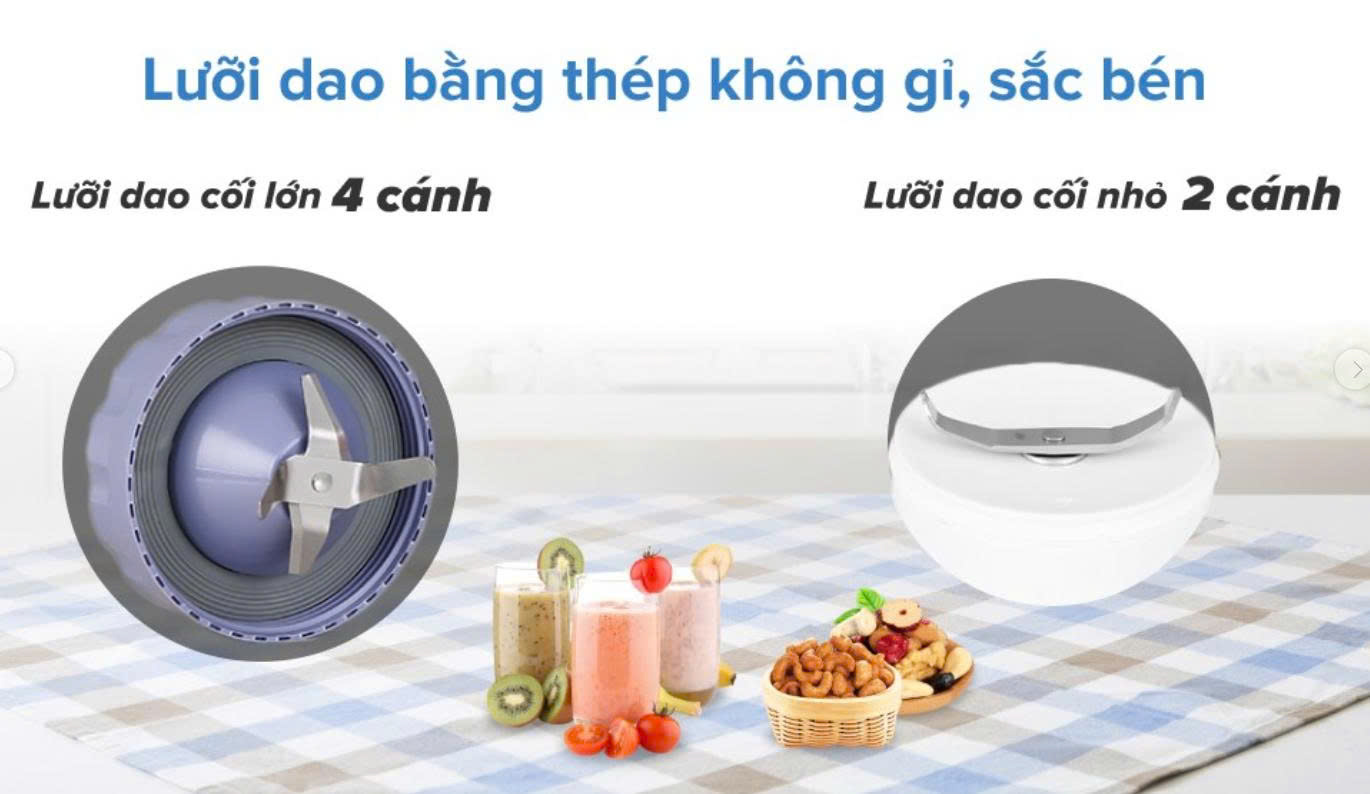 Máy xay sinh tố đa năng Philips HR2221/00