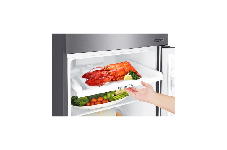 Tủ lạnh LG Inverter 255 lít GN-D255BL Mẫu 2019