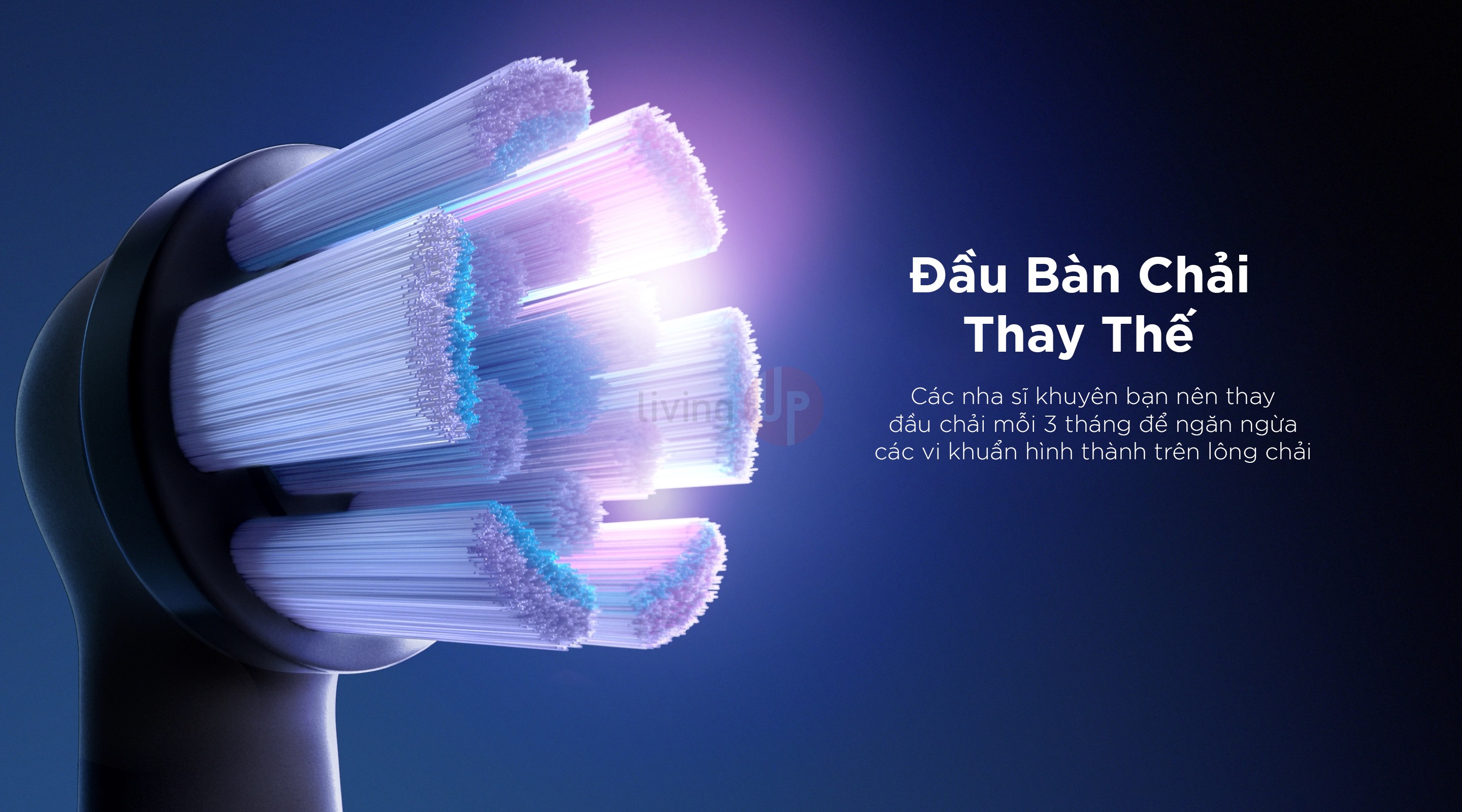 ban chai dien oral-b io series 5 ultimate clean heads