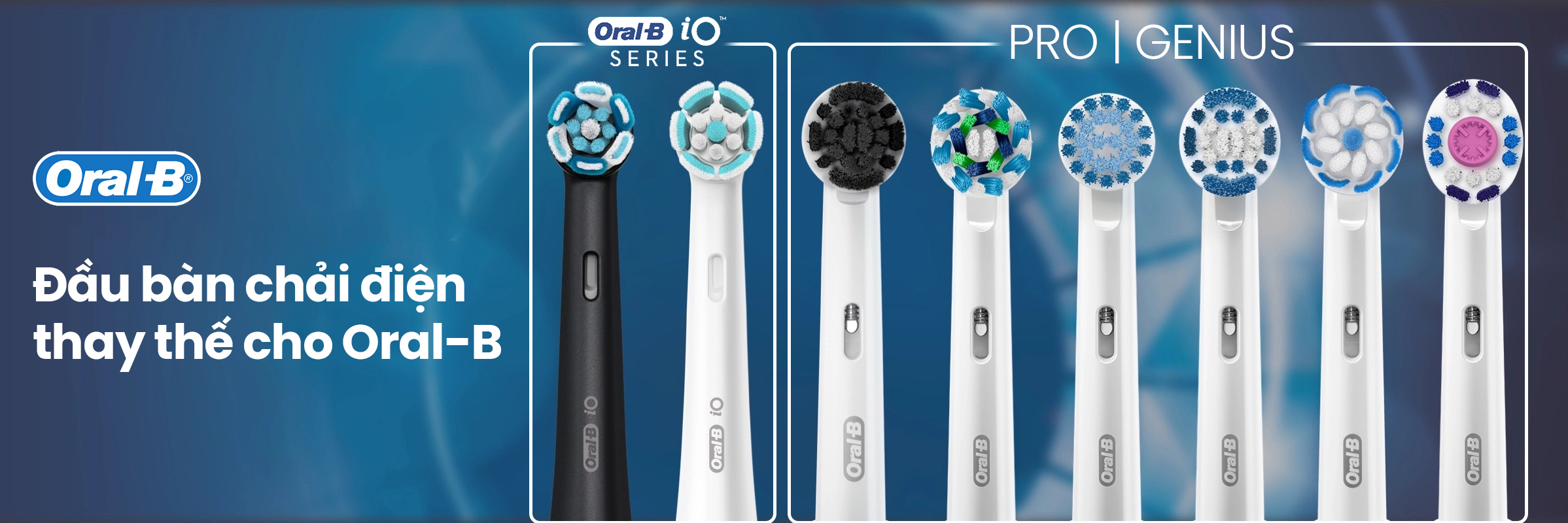 banner_group_2_2.jpg