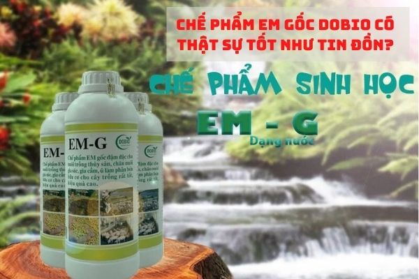 Chế phẩm EM gốc Dobio có thật sự tốt như tin đồn?